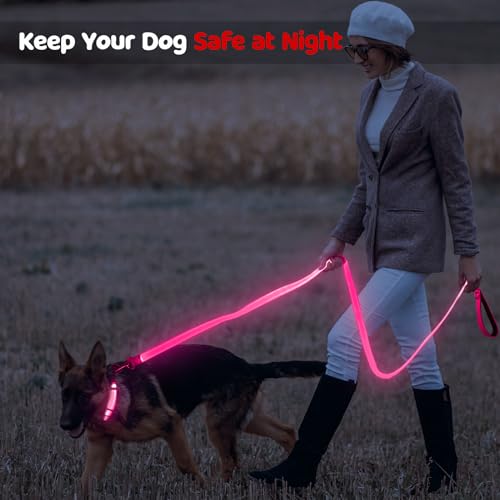 LED Dog Leash Light Up 6 Feet Micro USB Rechargeable Nylon Webbing Glow Safety Standard for Dogs by Bpawser (Pink) - color: Pink, size: 6 Feet