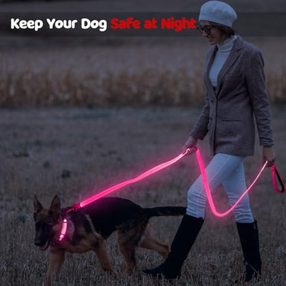 LED Dog Leash Light Up 6 Feet Micro USB Rechargeable Nylon Webbing Glow Safety Standard for Dogs by Bpawser (Pink) - color: Pink, size: 6 Feet