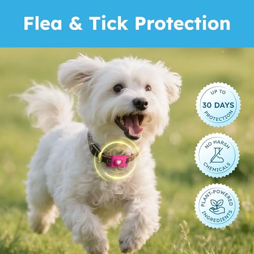 BugMD Paw Guardian Refill, Plant-Powered Flea & Tick Protection Tablets, 3 Count, 30-Day Protection, Natural Essential Oil Formula - color: Refill, size: 1 Pack