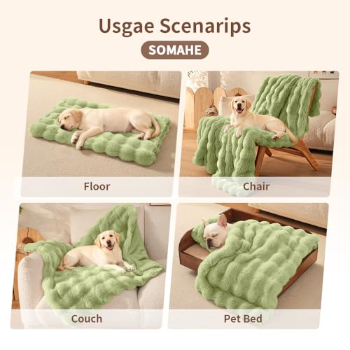 Dog Blanket, Reversible Sherpa & Bubble Fleece Pet Throw, Ultra-Soft Plush for Medium Dogs, Machine Washable, Anti-Static, Warm & Cozy, 39"×31" Inch Green - color: Green, size: 39"L x 31"W Inches