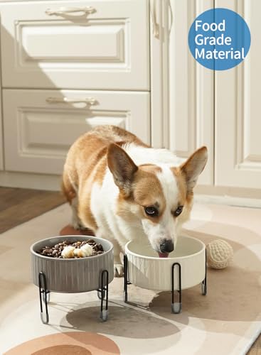 32 oz Ceramic Dog Cat Bowls with Elevated Metal Stand, 2 Heights Elevated, 6.5 Inch Ceramic Round Pet Food and Water Feeder Bowl Dish for Cats & Dogs, White & Grey - color: White & Grey