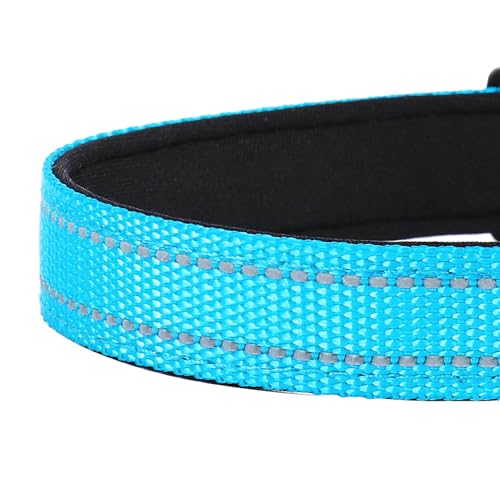 Reflective Dog Collar, Adjustable Soft Neoprene Padded Nylon Pet Collars with Buckle for Puppy and Small Dogs, Cats, Sky Blue,XS - color: Sky Blue, size: X-Small