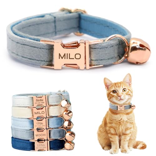 Personalized Non-Breakaway Cat Collar with Name, Luxury Soft Velvet Custom Engraved Name Collar with Bell for Kittens & Cats (Chambray, L (7.5-12.5 inches)) - color: Chambray, size: L (7.5-12.5 inches)