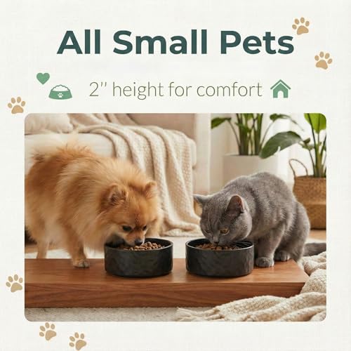 Ceramic Dog and Cat Bowl 2-Pack Non-Slip Weighted Food Water Set for Cats &Small Dogs 13.5OZ Black - color: Black – 2 Pack