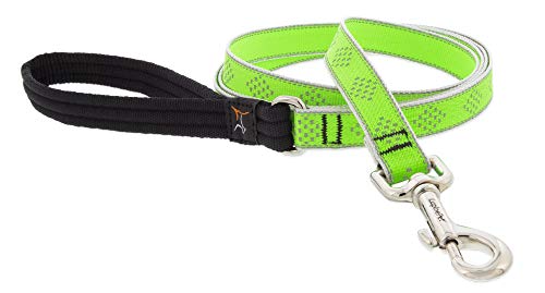 Lupine Reflective Dog Leash 6-Foot by 3/4" Wide Green Diamond - size: 3/4"w; 6-foot