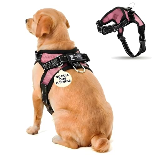 No Pull Reflective Adjustable Dog Harness with Handle- Comfortable Soft All Weather Mesh, Easy On Puppy Harness for Small Medium and Large Dogs (Pink) Small - color: Pink, size: Small