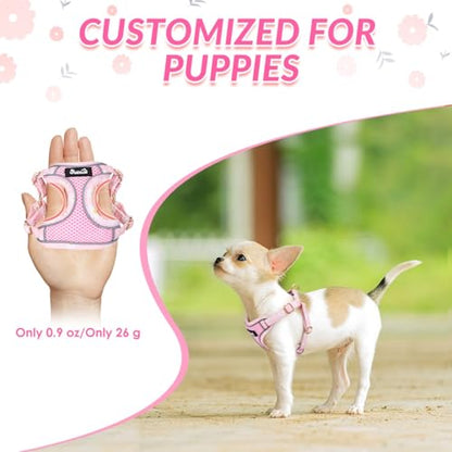 SlowTon Small Dog Harness - No Pull Dog Harness and Leash Set, Soft Mesh Lightweight Puppy Vest Harnesses, Adjustable Pet Harnesses for XXS XS Small Medium Easy Walk Hiking (Pink, XS) - color: 1.Pink Daisy, size: X-Small