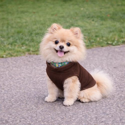 JACKO & CO - Fleece Vest Dog Sweater with Leash Ring - Soft, Warm & Lightweight Pullover Coat for Small & Medium Dogs, Puppies & Cats - Cozy Fall/Winter/Spring Pet Jacket (Chocolate Brown, XS (2-4lbs) - color: Chocolate Brown, size: XS (2-4lbs)