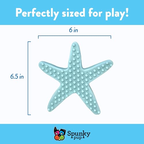 Spunky pup Clean Earth Heavy Duty Dog Chew Toys for Aggressive Chewers - Recycled, Made in USA, Starfish - style: Starfish
