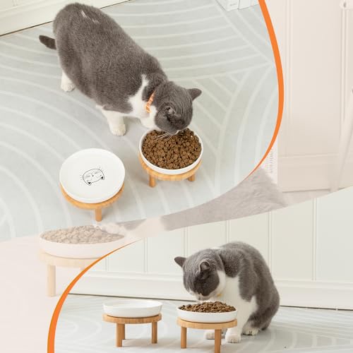 Lusifaco Shallow Elevated Cat Bowls,5.9 Inch Wide Raised Ceramic Cat Dishes with Bamboo Stand, Whisker Friendly Pet Water or Food Plates Feeding Station for Indoor Cats, Kitten(White,Set of 1) - color: White