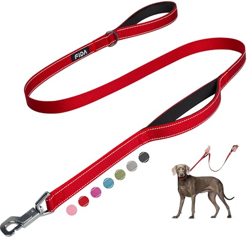 Fida 5 FT Heavy Duty Dog Leash with 2 Comfortable Padded Handles, Traffic Handle & Advanced Easy Snap Hook, Reflective Walking Lead for Large, Medium & Small Breed Dogs, Red - color: Red, size: 5 Feet (Pack of 1)