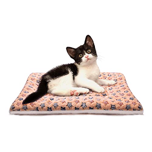 FJWYSANGU Fluffy Pet Cat Blanket Soft Coral Velvet Pet Puppy Cushion Mat Warm Cover Soft Pad Mat(Star V2/Beige,Medium) - color: Star V2/Beige, size: Medium