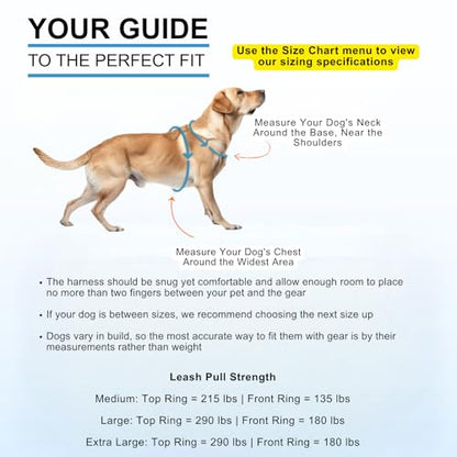 Dog Harness for Extra Large Dogs - No Pull Front Clip, Adjustable Step in Reflective Vest with Metal Buckles - Sky Blue - color: Sky Blue, size: Extra Large