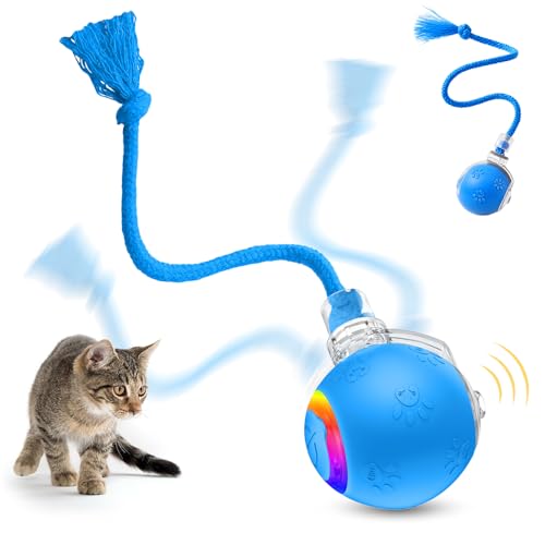 Interactive Cat Toys for Indoor Cats,Flying Bird Cat Kitten Toy,Moving Cat Toy for Bored Indoor Adult Pets,Smart Automatic Cat Chase Ball Toy (Blue) - color: Blue