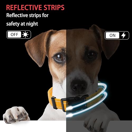 Reflective Dog Collar with Safety Locking Buckle, Adjustable Soft Breathable Nylon Collars for Small, Medium and Large Dogs(Collar+Leash XS Width 3/8" Yellow) - color: Yellow, size: XX-Small (Width 3/8")