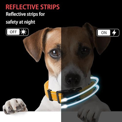 Reflective Dog Collar with Safety Locking Buckle, Adjustable Soft Breathable Nylon Collars for Small, Medium and Large Dogs(Collar+Leash XS Width 3/8" Yellow) - color: Yellow, size: XX-Small (Width 3/8")