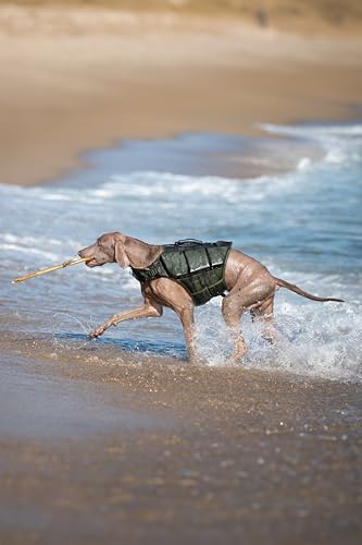 NOAH & PAW Dog Life Jacket, Human Standards Lifejacket Design, Dog Life Vest for Swimming and Boating, 3X Foam Support for Max Floating, Breathable Mesh, Salvavidas para Perros, Size L - size: L