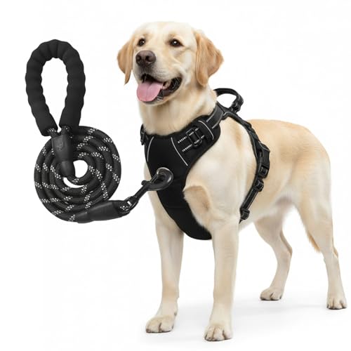 No Pull Dog Harness and Leash Set for Large Dogs – Adjustable Reflective Breathable Soft Padded Easy Control Dog Harness for Training & Walking, Black (Large) - color: Black, size: Large (Neck: 14.2"-22.4", Chest: 18.9"-33.1")