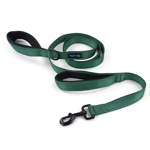 Wagtime Club Double Handle Dog Leash, 6ft Long Heavy Duty Dog Leash with Paded Traffic Handles for Extral Control and Training, Dual Handles Leads, Large Medium Small Dogs (Reflective Hunter Green) - color: Reflective Hunter Green