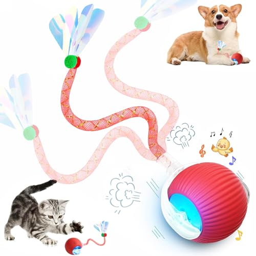 Speed 2.0 Tail Interactive Cat Toys for Indoor Cats, Chirping & Motion Activate Ca t Toy, Smart Kitten Rolling Ball Moving Ball Toys, Rechargeable Dog Cat Bal l for Enrichment Exercise (Red) - color: Red