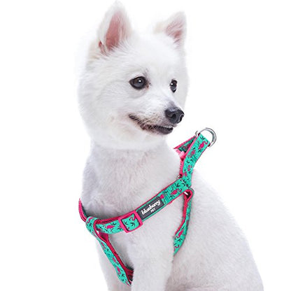 Blueberry Pet Essentials 2 Patterns Step-in Pink Flamingo on Light Emerald Dog Harness, Chest Girth 26" - 39", Large, Adjustable Harnesses for Dogs