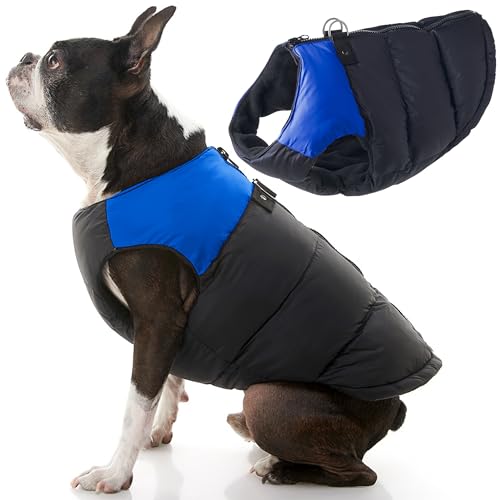 Gooby Padded Vest Dog Jacket - Blue, X-Small - Warm Zip Up Vest Fleece Jacket with Dual D Ring Leash Water Resistant for Small to Medium Dogs - color: Blue, size: X-Small