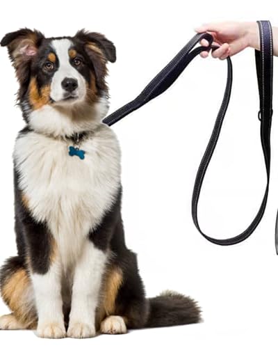 Solmoony 4FT Green Strong Dog Leash with 2 Padded Handles, Traffic Handle Extra Control, Double-Sided Reflective Walking Lead for Small Medium and Large Dogs(Green, 4FT) - color: Green, size: 4FT