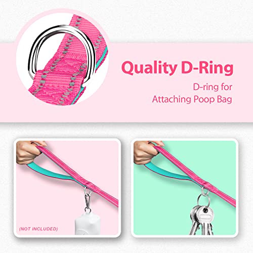 PHOEPET 5 Feet Dog Leash with Comfortable Padded Handle Easy Snap Clasp - Reflective Walking Lead for Large, Medium & Small Breed Dogs (Pink + Mint Green Base) - color: Pink + Mint Green Base