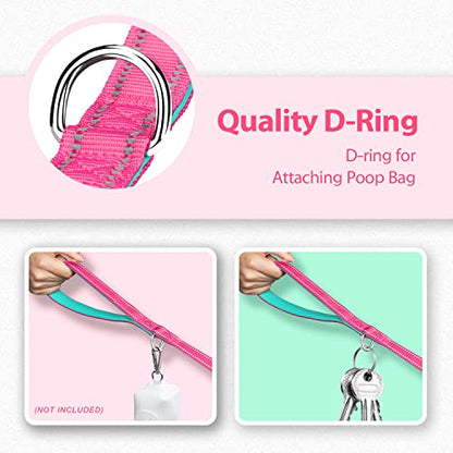 PHOEPET 5 Feet Dog Leash with Comfortable Padded Handle Easy Snap Clasp - Reflective Walking Lead for Large, Medium & Small Breed Dogs (Pink + Mint Green Base) - color: Pink + Mint Green Base