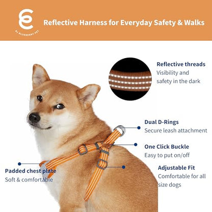 Blueberry Pet Essentials Back to Basics Reflective Dog Harness Vest, Apricot, Small, Adjustable Harnesses for Dogs - color: Apricot, size: Small (Pack of 1)