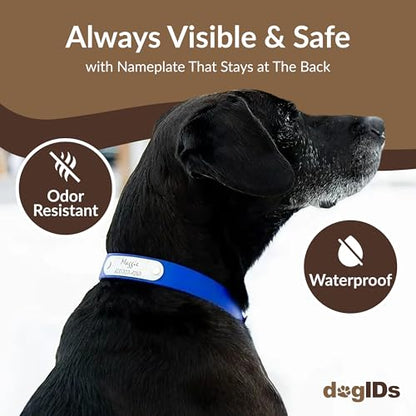 dogIDs Personalized Dog Collar – Custom Waterproof Soft-Grip Biothane with Laser-Engraved Nameplate, Durable & Odor-Resistant, USA Made | Creamsicle, 1 in x 16 in (Fits Necks Size 14-18 in) - color: Creamsicle, size: 1 in x 16 in (Fits Necks Size 14-18 in