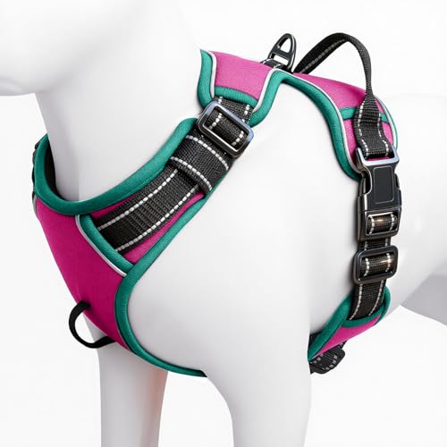 No Pull Dog Harness, No Chock Reflective Adjustable Soft Padded Pet Vest with Easy Control Handle, Easy Wearing with Stylish, Reinforced Knot, 2 Buckles - color: Pink/Turquoise, size: X-Small