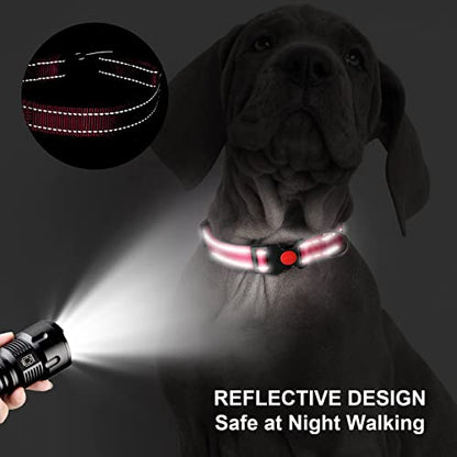 Personalized Dog Collar - Reflective Custom Embroidered with Pet Name and Phone Number for Boy and Girl Dogs, 4 Adjustable Sizes, XSmall,Small, Medium and Large - color: Buckle Lock