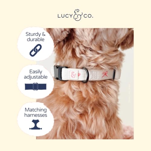 Lucy & Co. Ever So Sweet Dog Collar, Adjustable Durable Dog Collar with Cute Print, Small - color: Ever So Sweet, size: Small