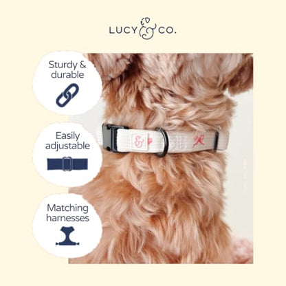 Lucy & Co. Ever So Sweet Dog Collar, Adjustable Durable Dog Collar with Cute Print, Small - color: Ever So Sweet, size: Small