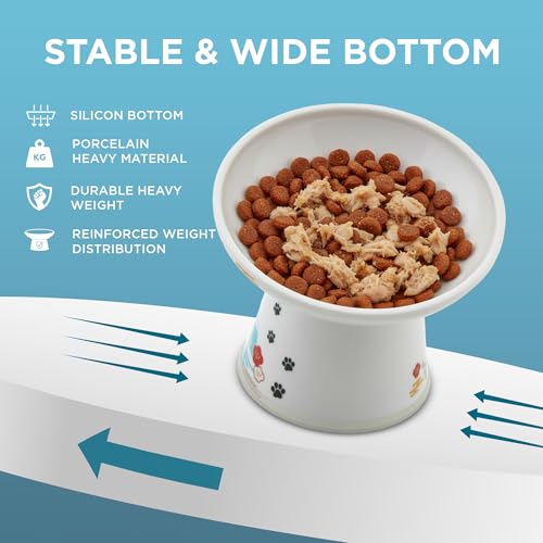 Necoichi Elevated Cat Food Bowl, Ceramic (Porcelain),15° Tilted, Whisker-Friendly, Dishwasher, Microwave Safe, Non-Slip, Anti-Vomiting, Neck Fatigue (Fuji, Extra Wide Tilted, 1.5-Cups Capacity) - color: Fuji, size: Large Extra Wide Tilted (1.5 Cups)