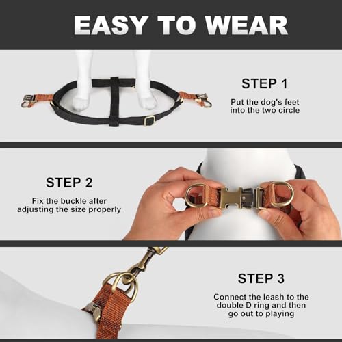 Didog Step in Dog Harness with Metal Buckles, Freedom Nylon Dog Halter Vests for Small Dogs Easy Walking Training(S:Chest 13-22", Black) - color: Black, size: S: Chest 14-22", Fit 7-18 lbs