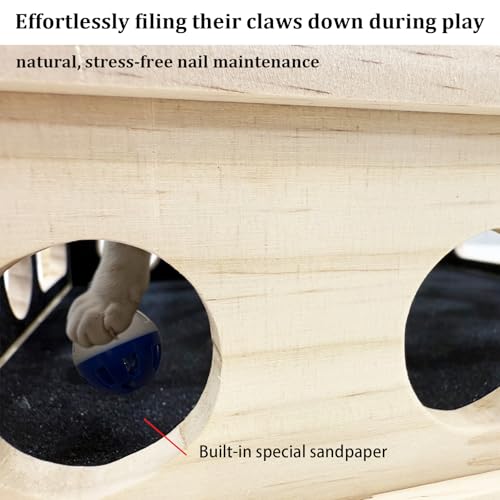 Cat Scratch Puzzle Enrichment Box, Cat Nail File Enrichment Box Sandpaper, Interactive Cats Treat Toy Stress Free, Scratchers that Trim Nails