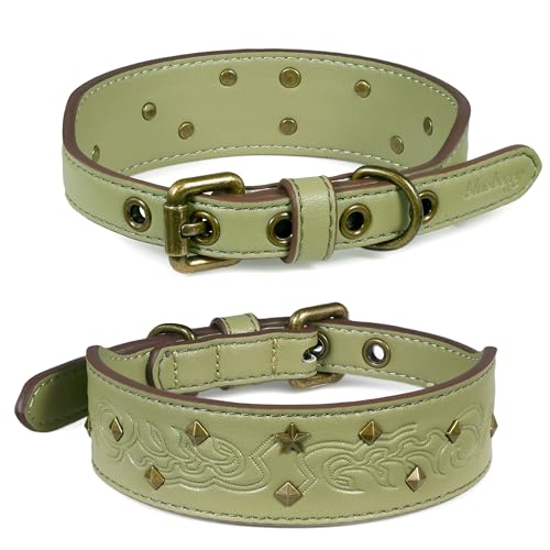 Blueberry Pet Premium Embossed Sage Green Glam Silver-Powered Freshness Microfiber Leather Dog Collar with Antique Brass Studs - color: Sage Green, size: Small