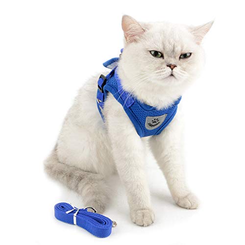 Zunea Dog Harness & Leash Set - Small Dogs & Cats (7-11lbs), Blue, Mesh, Reflective, Adjustable, No Pull, Quick Release, Step-in Vest Harness - color: Blue, size: M (Chest:15.5 Inch, for 7-11lbs)
