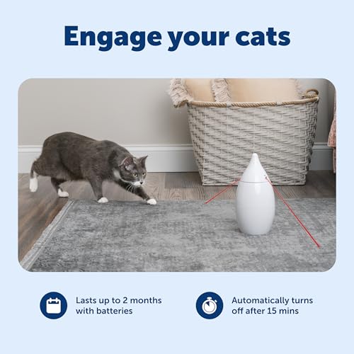 PetSafe Zoom Rotating Laser Cat Toy Includes 2 Interactive Laser Lights - style: Zoom