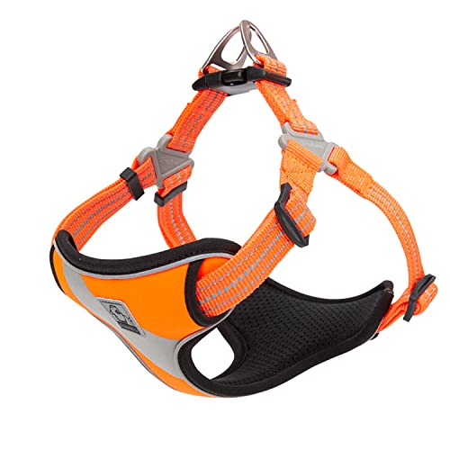 TRUE LOVE Dog Harness TLH5991 Anti Pull Safety Vest Step-in Style Harness for More Comfort and Less Tug Reflective Pet Harness by Truelove - color: Orange, size: S