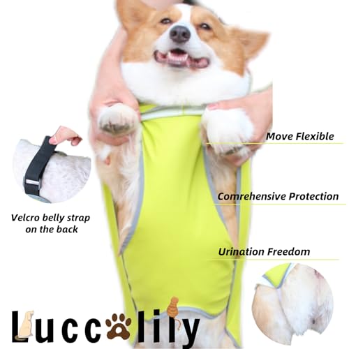 Dog Rain Jacket with Hood for Small Medium Dog,Waterproof Dog Raincoat with Reflective Strip， Adjustable Belly Strap Protection, Lightweight Poncho (Small,Light Green) - color: Light Green, size: Small