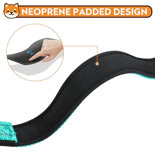 Reflective Dog Collar, Adjustable Soft Neoprene Padded Nylon Pet Collars with Buckle for Small Dogs, Teal,S - color: Teal, size: Small