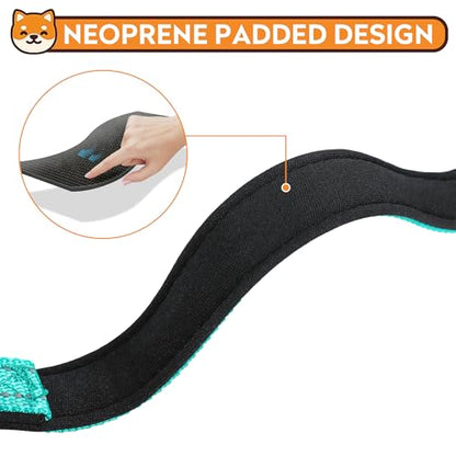 Reflective Dog Collar, Adjustable Soft Neoprene Padded Nylon Pet Collars with Buckle for Puppy and Small Dogs, Cats, Teal,XS - color: Teal, size: X-Small