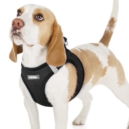 rabbitgoo Small Dog Harness, Step-in Soft Mesh Puppy Vest with Safety Buckle, Breathable Reflective Pet Harness for Small Sized Dogs, Black M - color: Black, size: M(chest:16.0"-18.5")