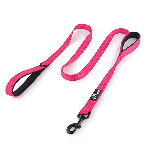 Plutus Pet Double Handle Dog Leash 4ft, Heavy Duty, Reflective Dual Handle Dog Leash for Safety Training, for Medium Large Dogs,2 Handle Leads(Pink) - color: Pink, size: 4 FT