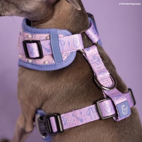 Lucy & Co. Magnificent Mermaids Pearl No-Pull Dog Harness, Adjustable Front Clip Harness with Comfort Padding, Small - color: Magnificent Mermaid, size: Small