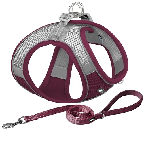 AIITLE Small Harness for Puppy with A Leash - Christmas Dog Vest Harness with Super Breathable Mesh, Reflective No-Pull Pet Harness for Outdoor Walking, Running for Small Dogs, Cats Burgundy XXS - color: Burgundy, size: XXS(Chest: 10 - 11.5")