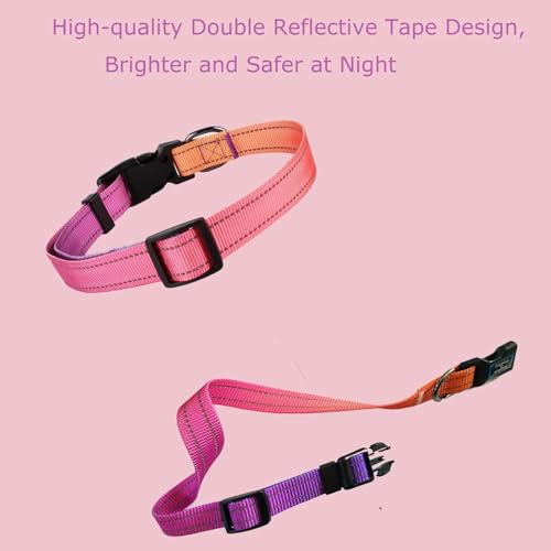 Roses&Poetry Reflective Dog Collar with Gradient Mistyrose, Adjustable Durable Pet Collars for Small Medium Large Dogs (Mistyrose-M) - color: Mistyrose, size: Medium